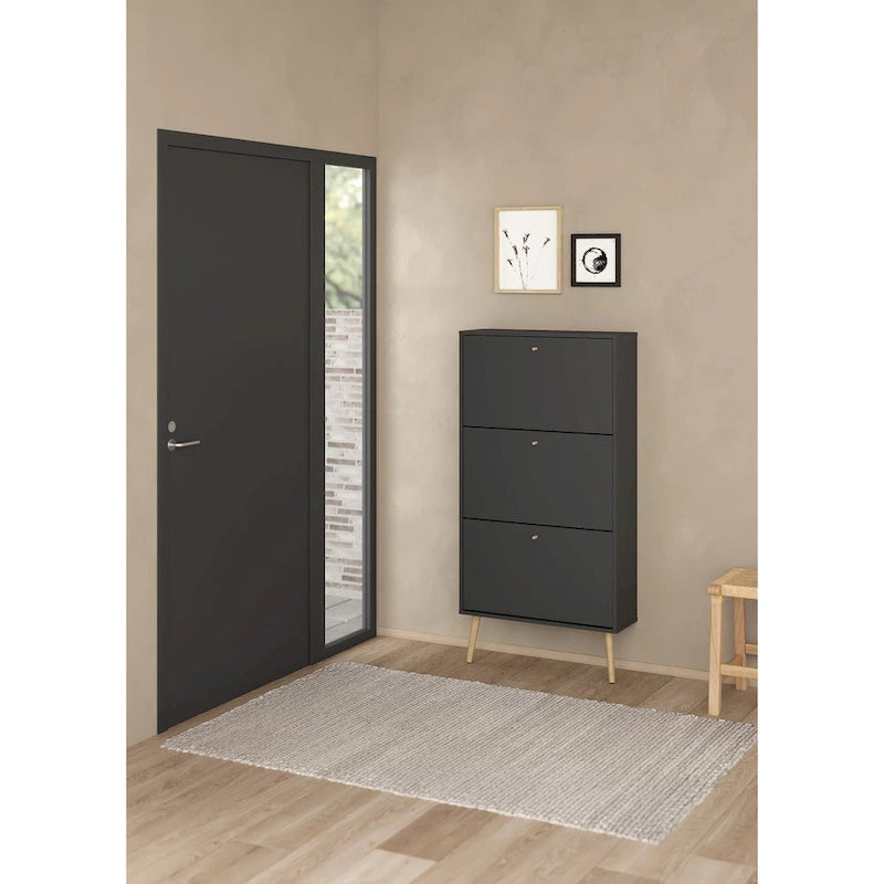 Carson Carrington Bodo 3-drawer Shoe Storage Cabinet