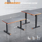 SIAGO Bureau informatique 48 x 24 pouces, réglable en hauteur, électrique, assis-debout